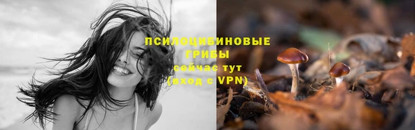 бутират Киреевск